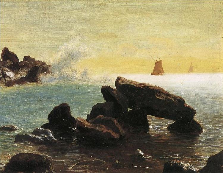 Albert Bierstadt Farallon Islands, off San Francisco in the Pacific, Northern California china oil painting image